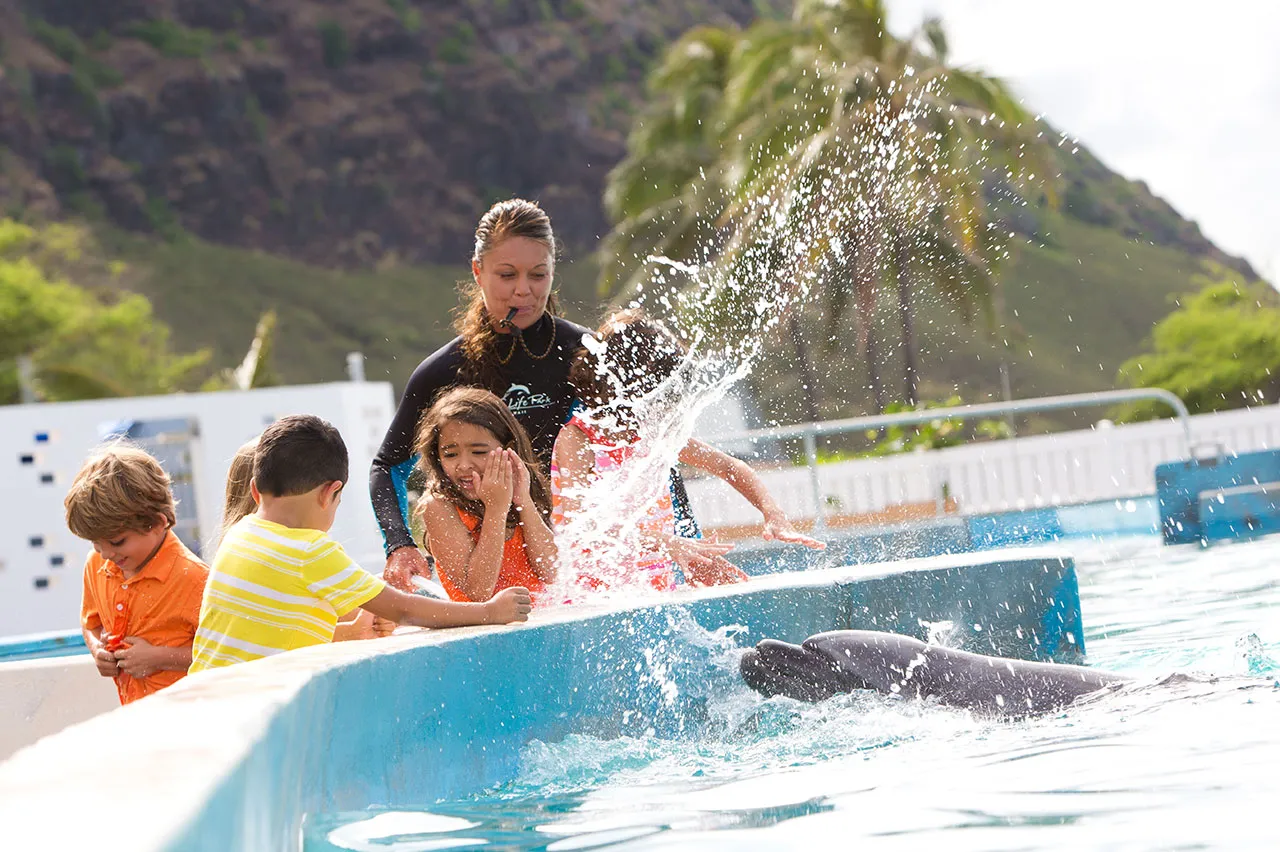 バックステージでイルカと触れ合う参加者の様子