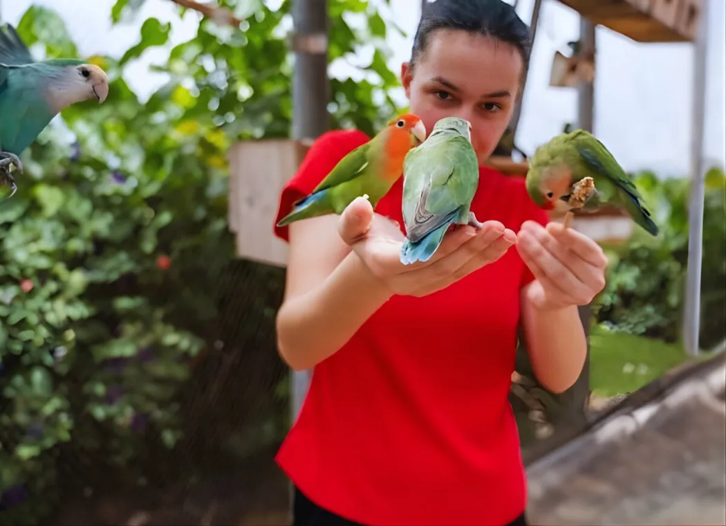 バードケージのエサやり体験|シー ライフ パーク ハワイ