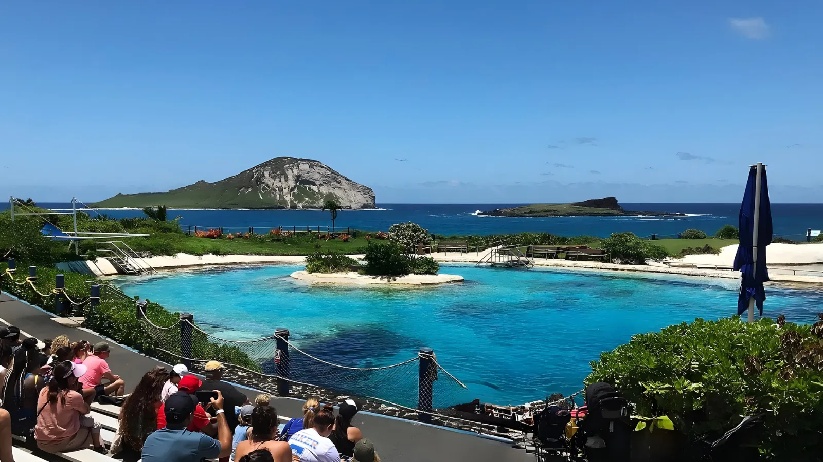 シー ライフ パーク ハワイのドルフィン・ショー・ラグーンの光景