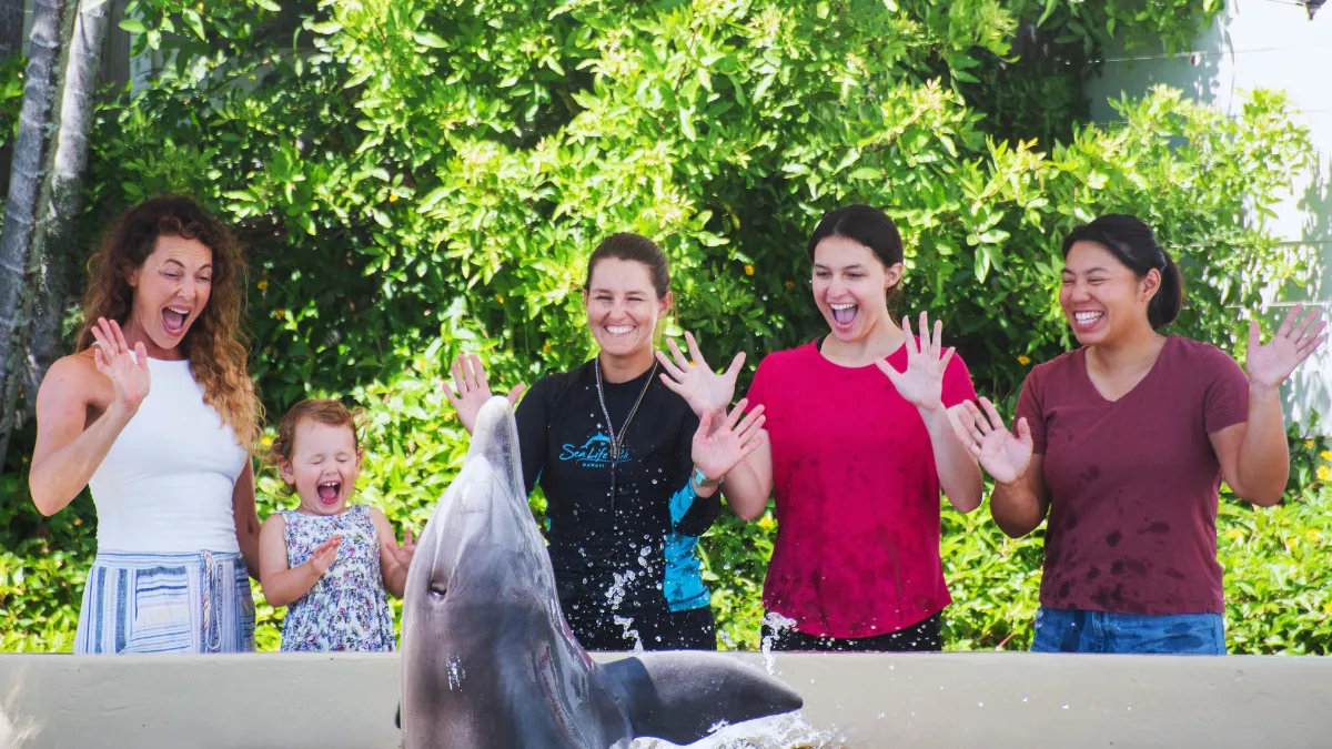 ドルフィン・アロハ / バックステージの様子