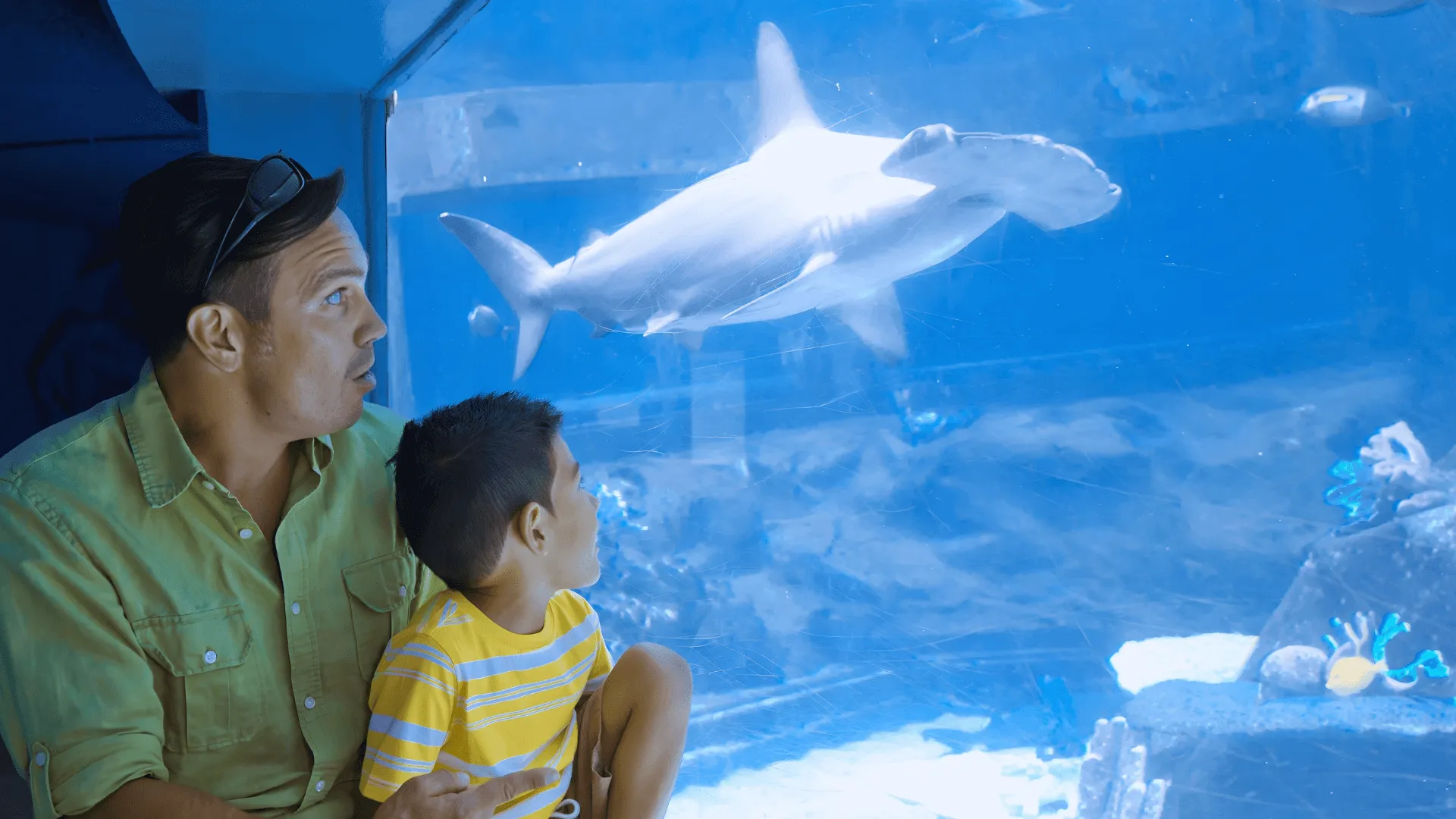 シーライフパークのシャークケーブ