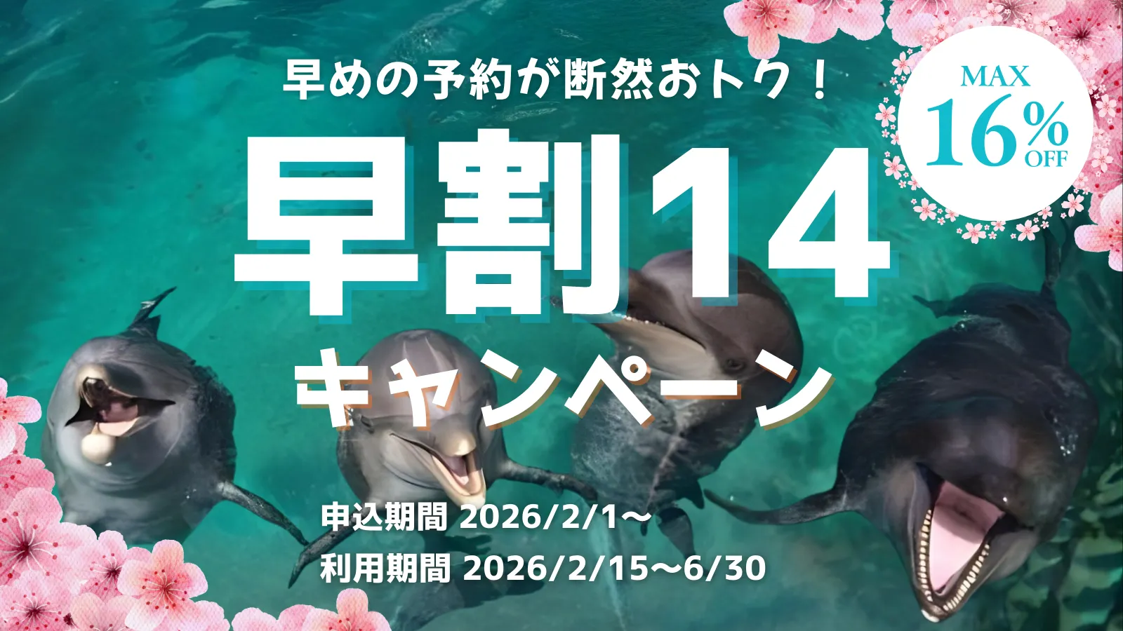 早割14キャンペーン