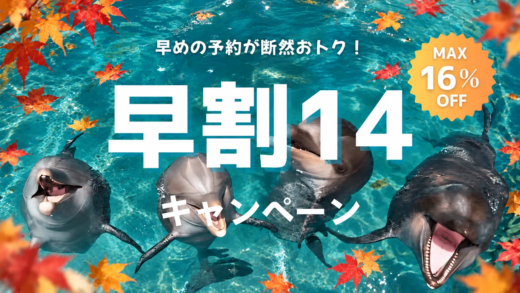 早割14キャンペーン