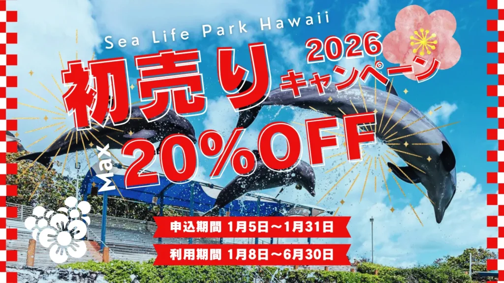 初売りキャンペーン2026・最大20%OFF