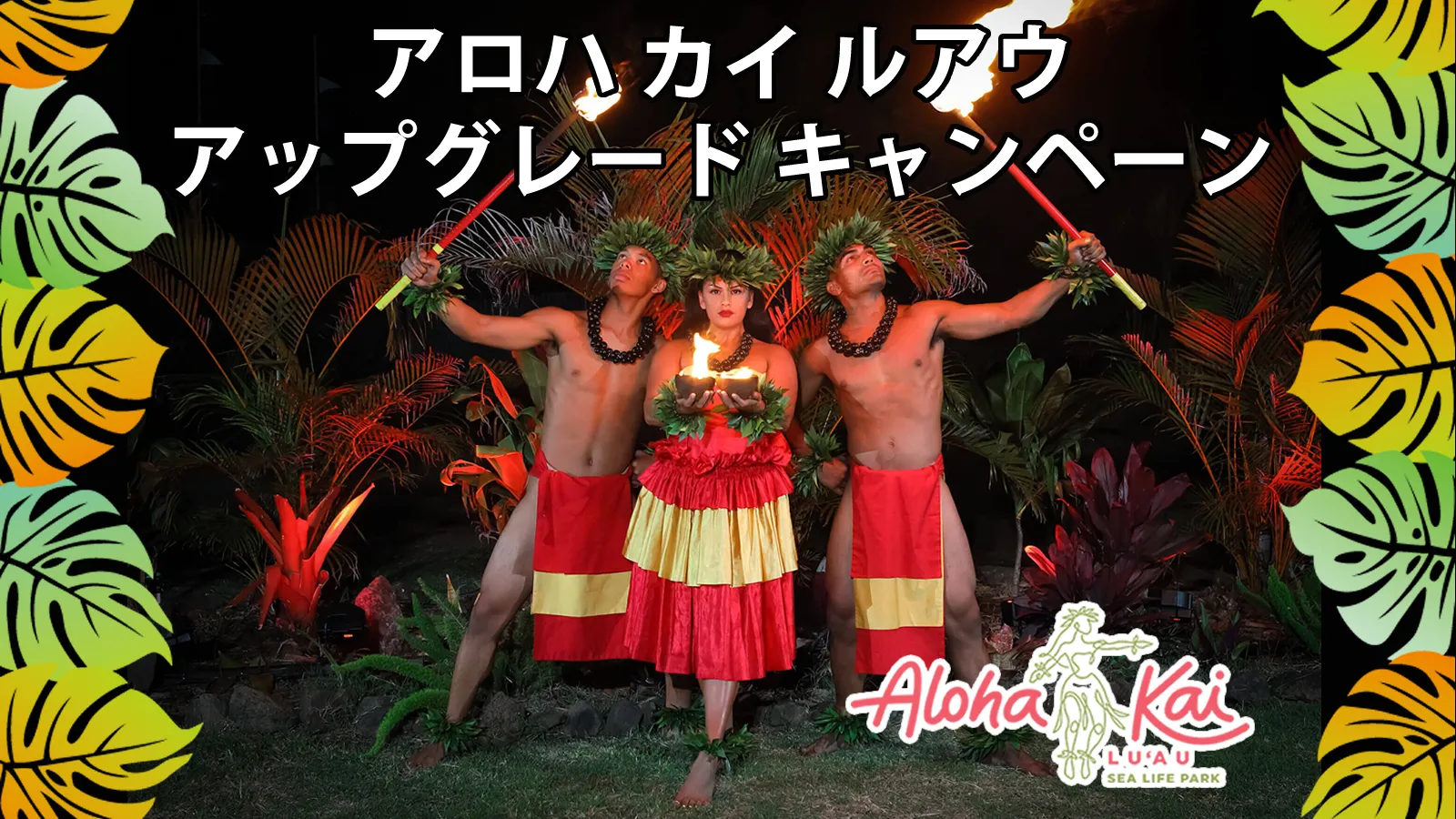 アロハカイルアウ・ディナーショー|最大$40割引キャンペーン