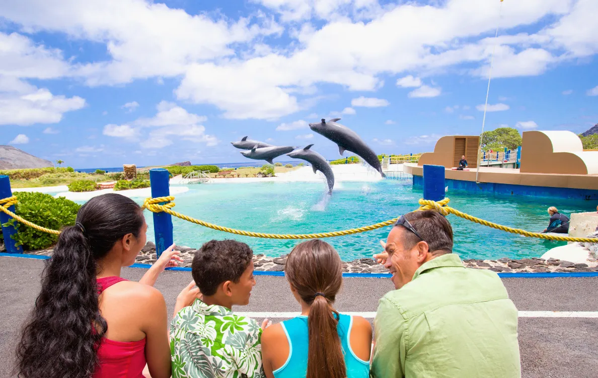 イルカショーを楽しむファミリーの様子