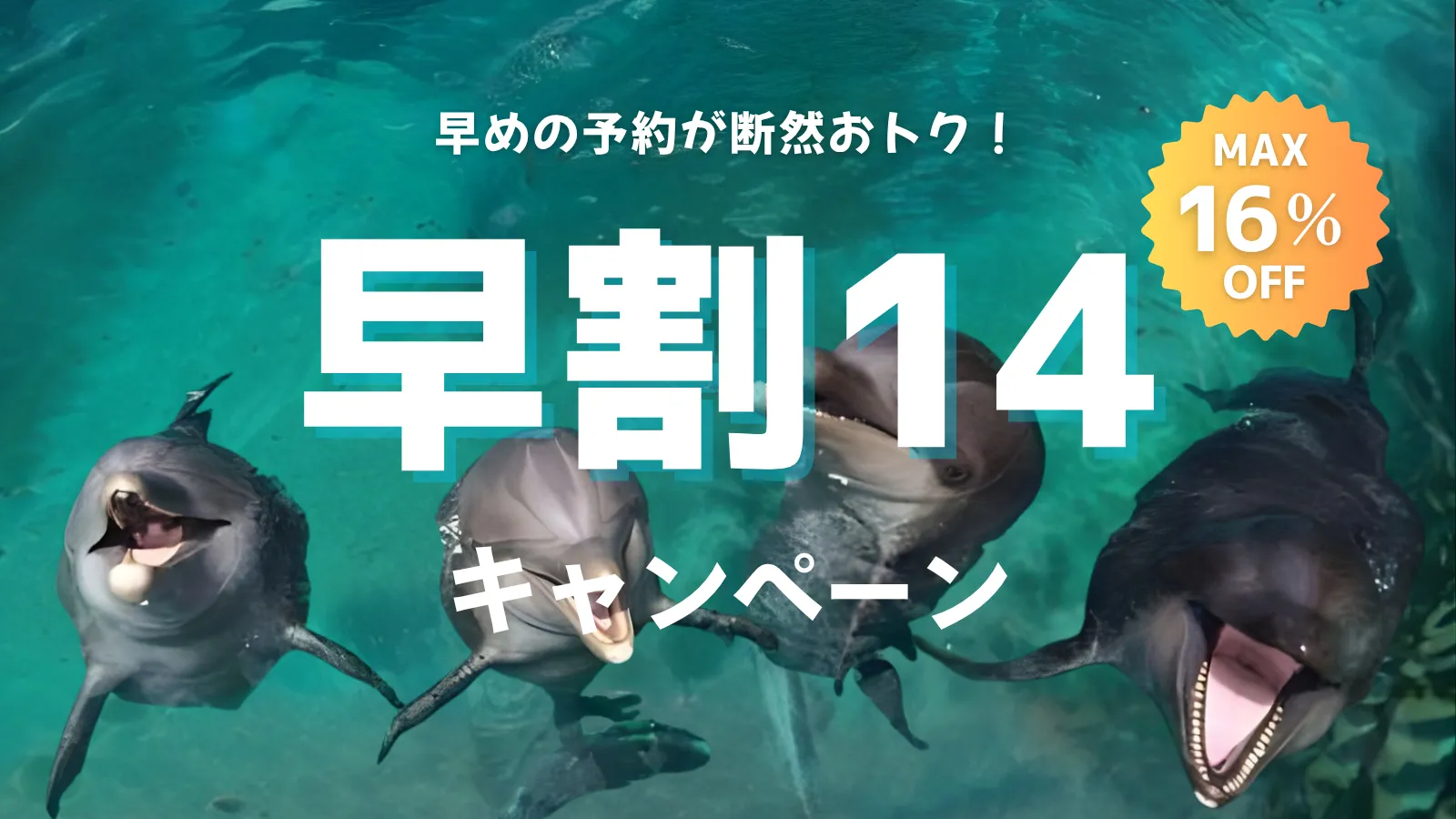 早割14キャンペーン