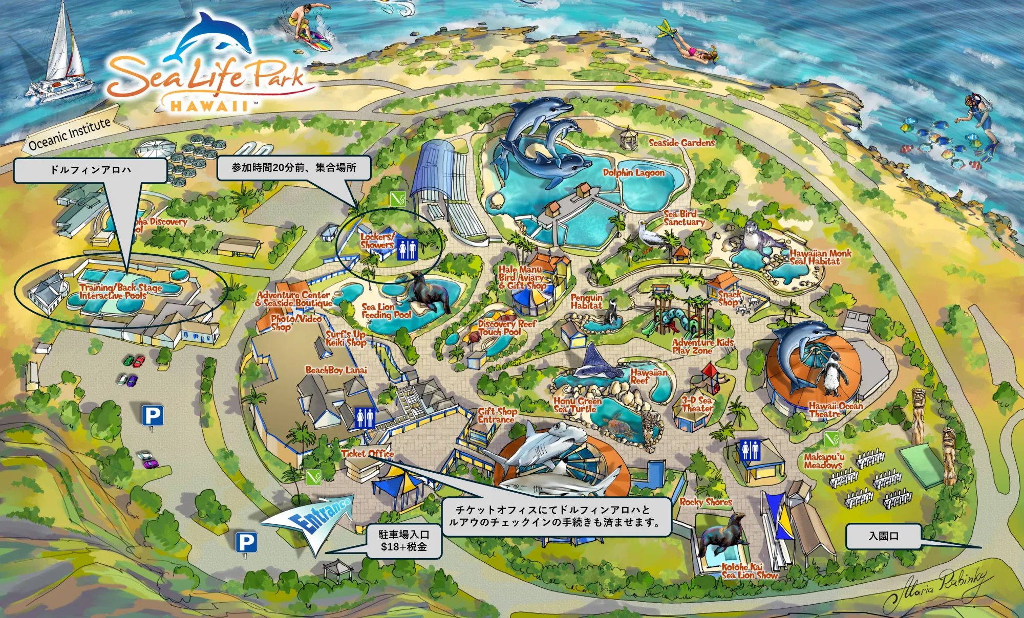 シー ライフ パーク ハワイのロッカー シャワーエリアのマップ