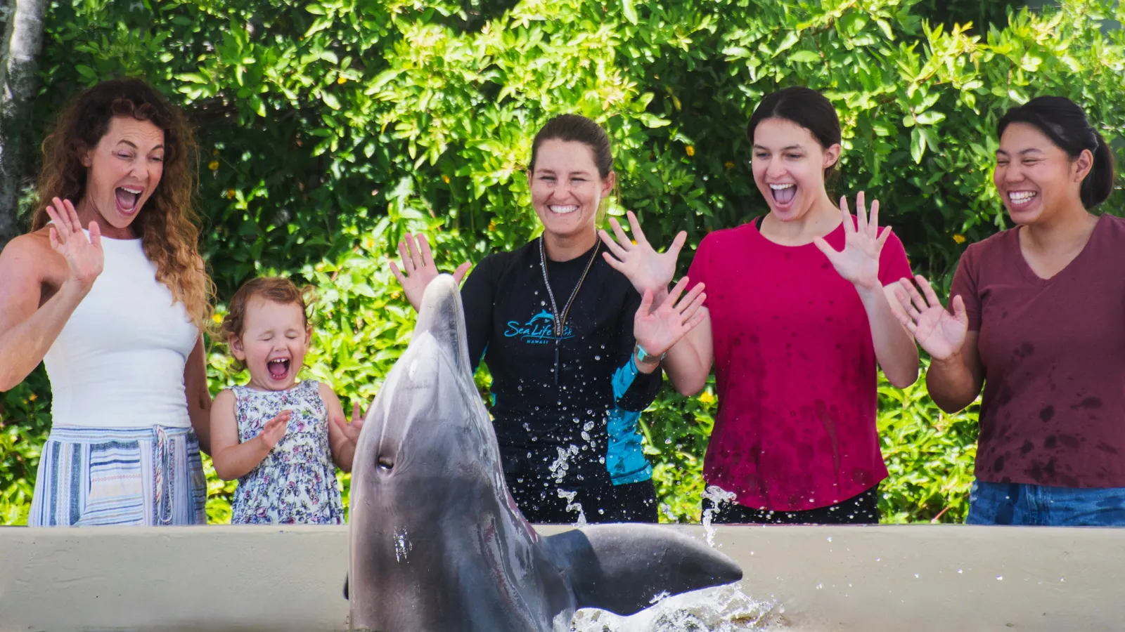 ドルフィンアロハでイルカとふれあう参加者