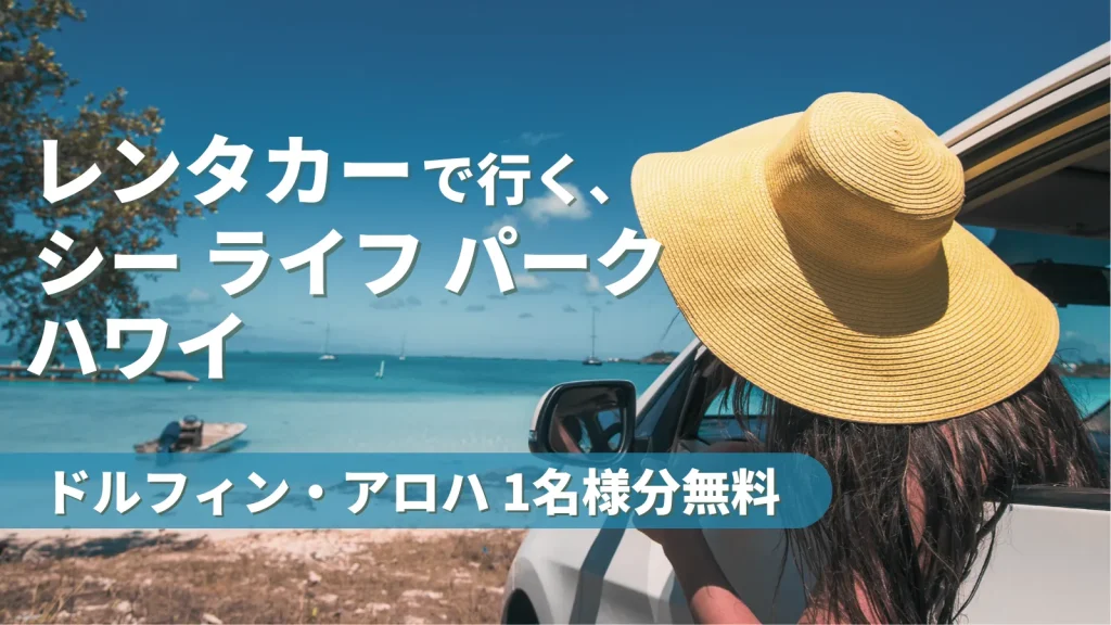 レンタカーで行く、シー ライフ パーク ハワイ| ドルフィン・アロハ1名様無料